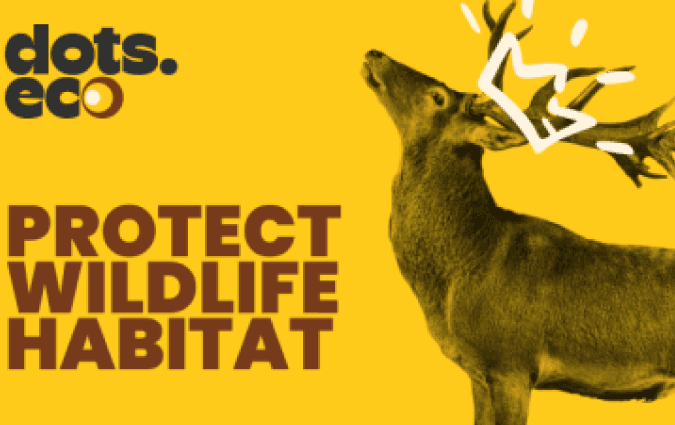Protect wildlife habitat gift card