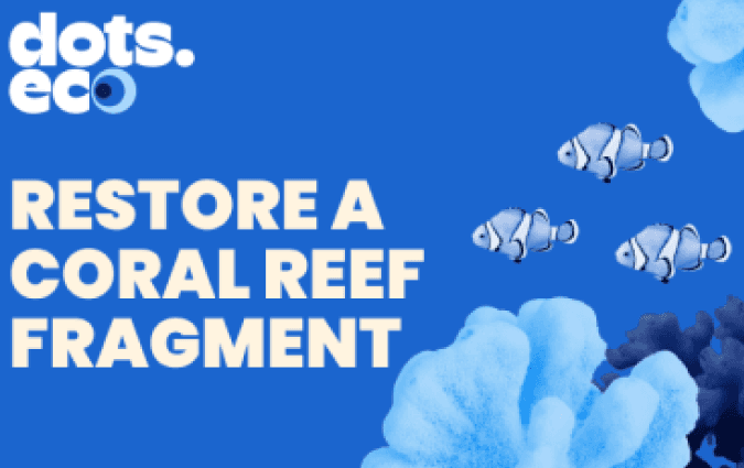 Restore a coral reef fragment gift card
