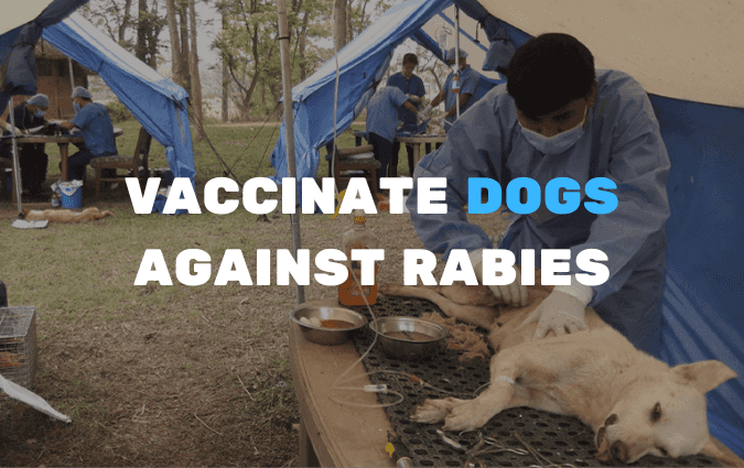 Vaccinate dogs against rabies gift card