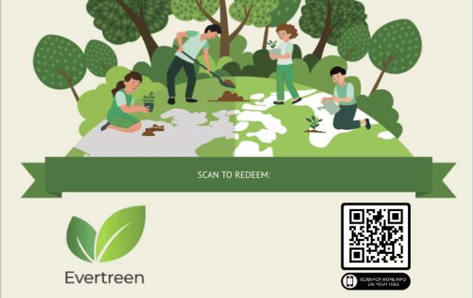 Evertreen gift card